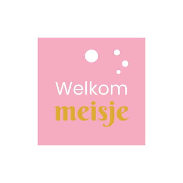 Roze cadeaukaartje Welkom meisje met goudfolie – luxe cadeaulabel voor geboorte en kraamcadeau van The Packery